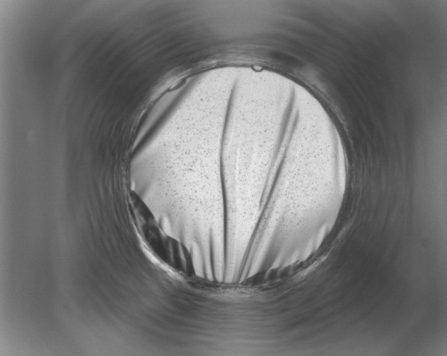 X0000080201433200701051737