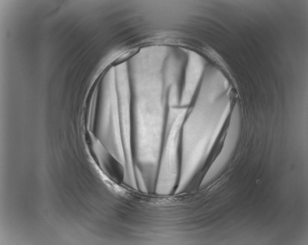 X0000080201434200701051737