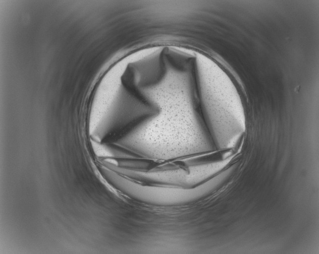 X0000080201437200701051737