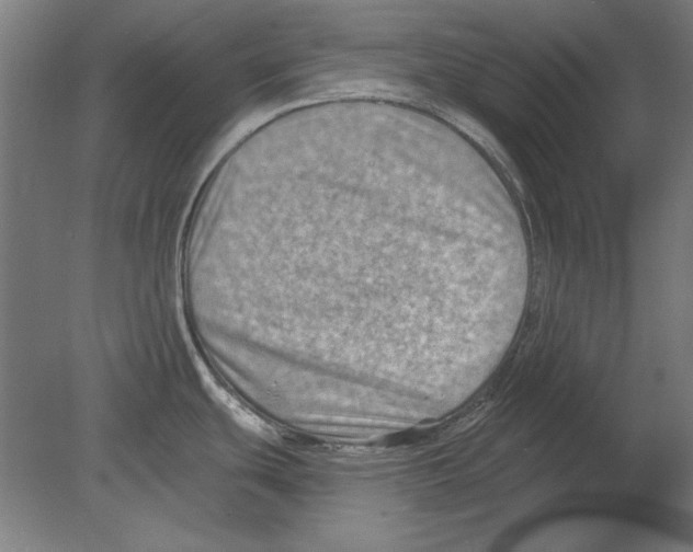 X0000080201439200701051737