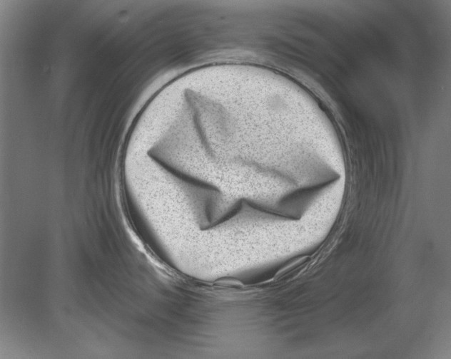 X0000080201440200701051737