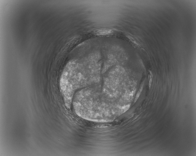 X0000080201441200701051736