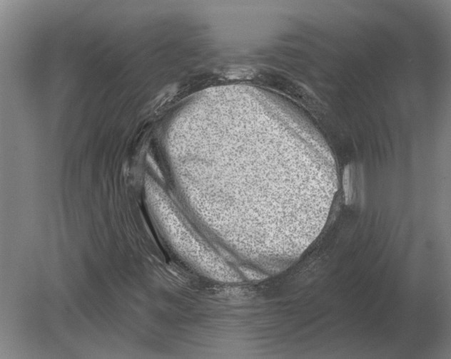 X0000080201443200701051736