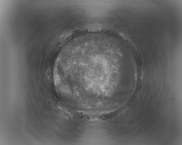 X0000080201445200701051736