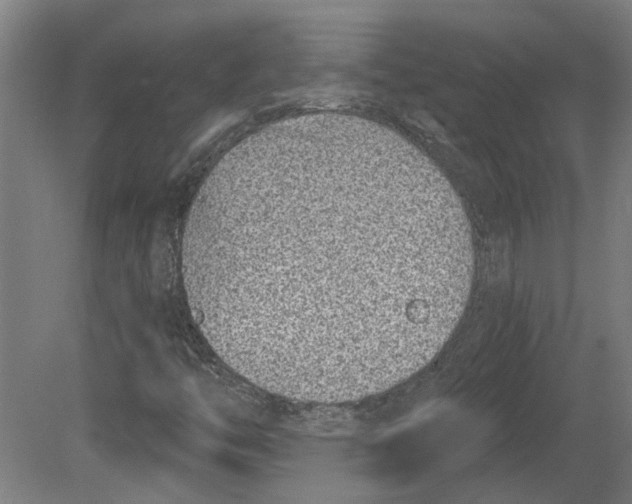 X0000080201446200701051736