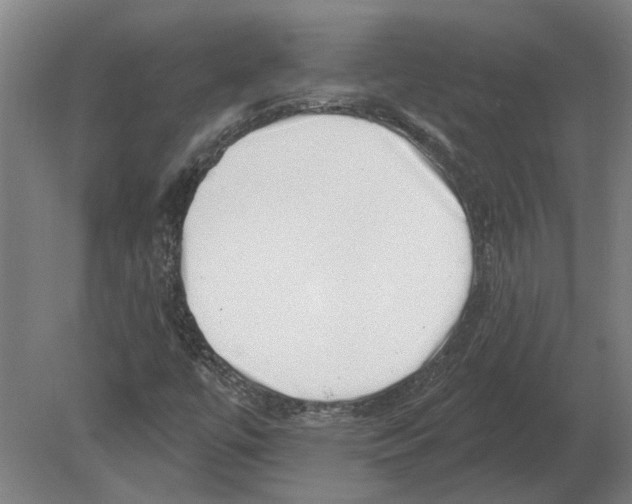 X0000080201447200701051736