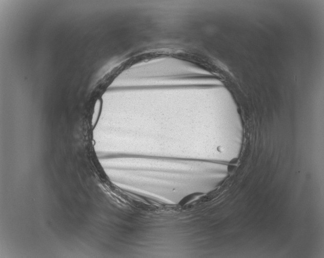 X0000080201448200701051736