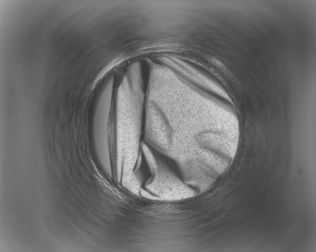 X0000080201450200701051736