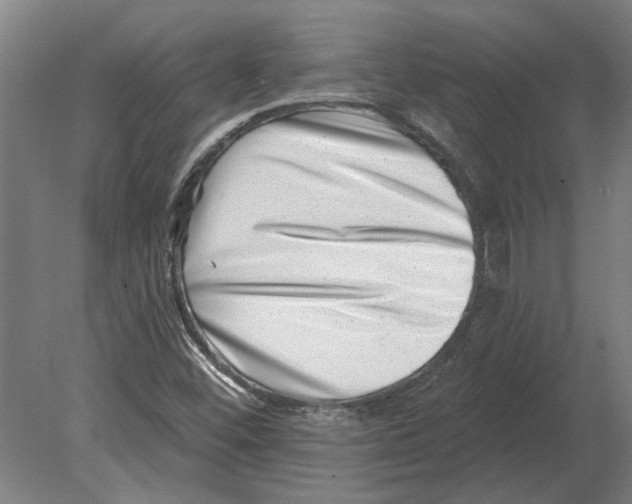 X0000080201452200701051736