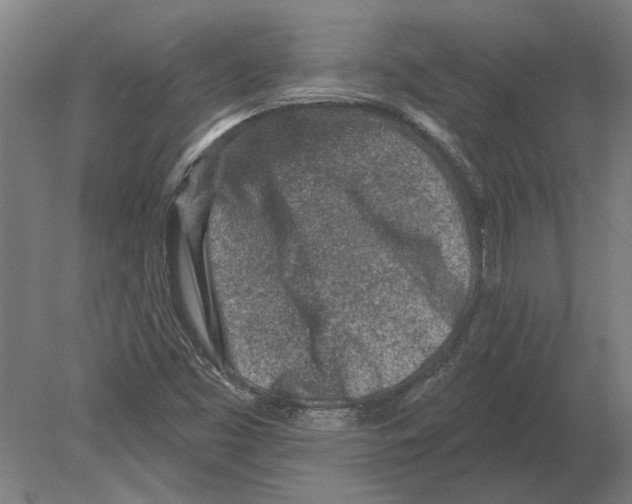 X0000080201453200701051736