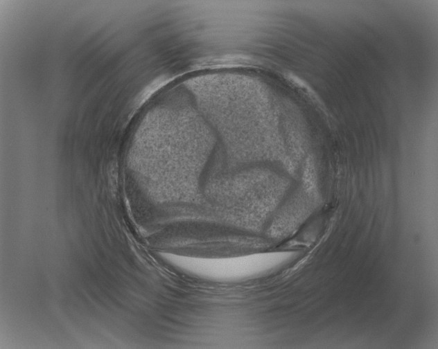 X0000080201457200701051736