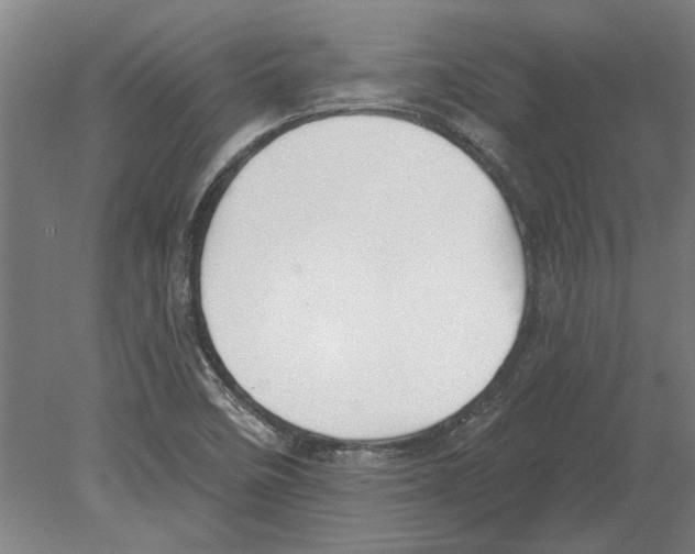 X0000080201458200701051736