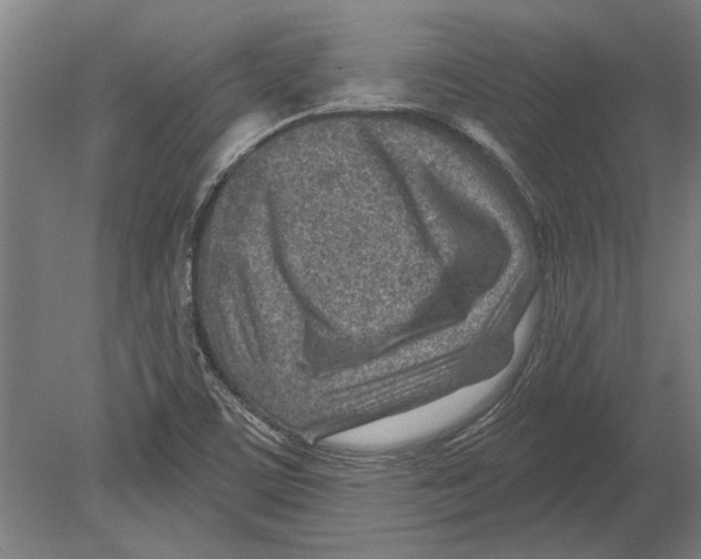 X0000080201459200701051736