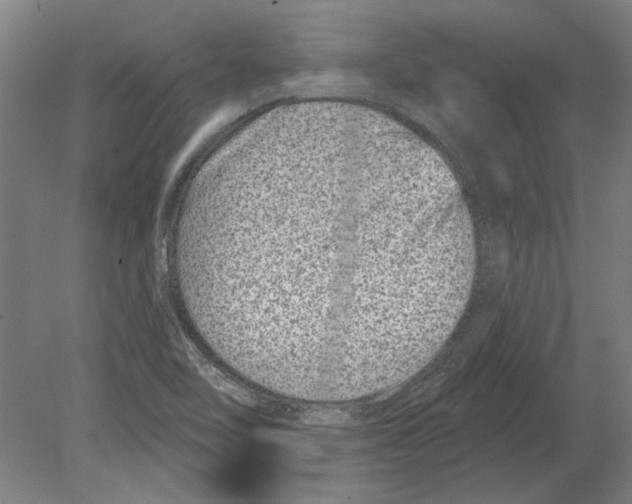 X0000080201462200701051736