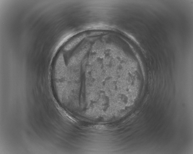 X0000080201463200701051736