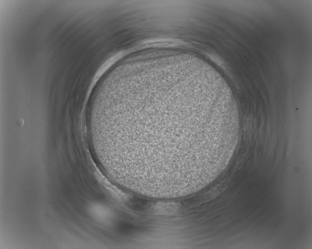 X0000080201466200701051736