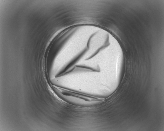 X0000080201468200701051736