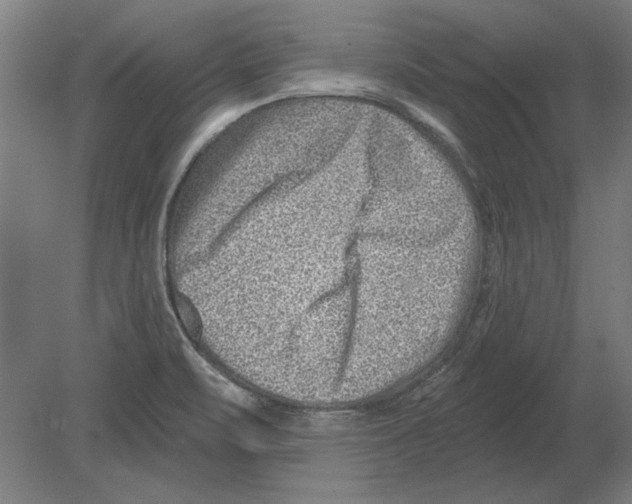 X0000080201471200701051736