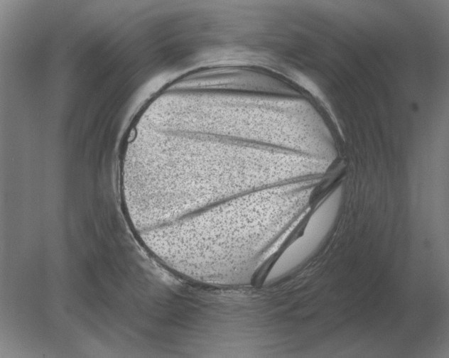 X0000080201472200701051736