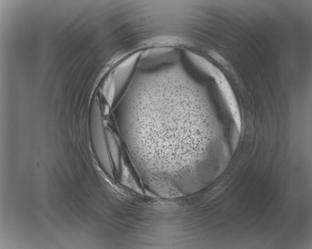 X0000080201473200701051736