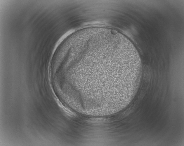 X0000080201474200701051736