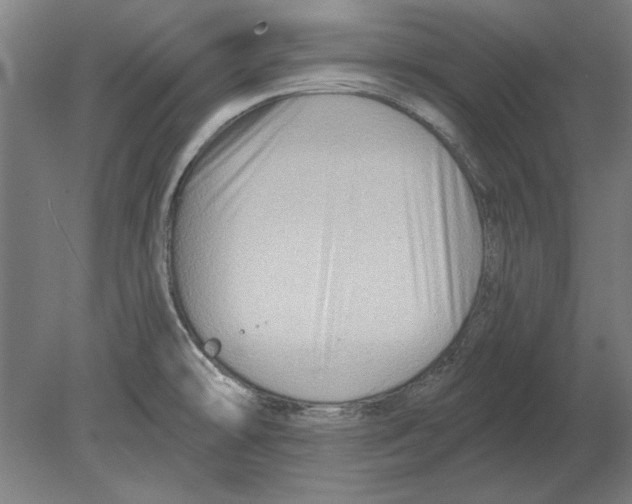 X0000080201478200701051736