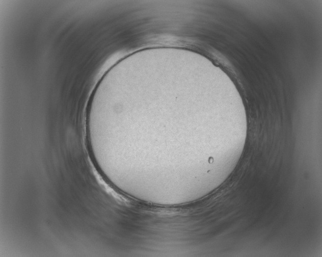 X0000080201479200701051736