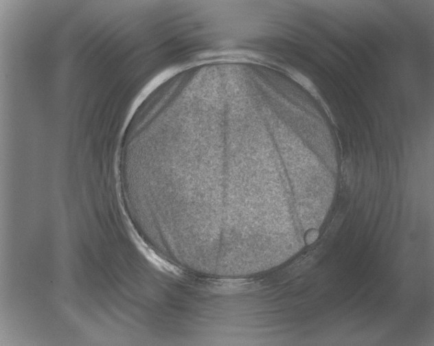 X0000080201482200701051736