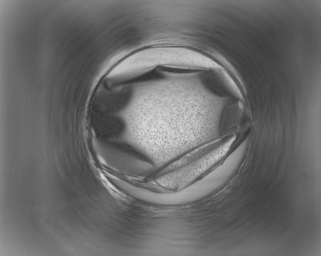 X0000080201485200701051736