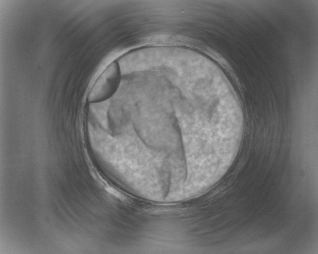 X0000080201486200701051736