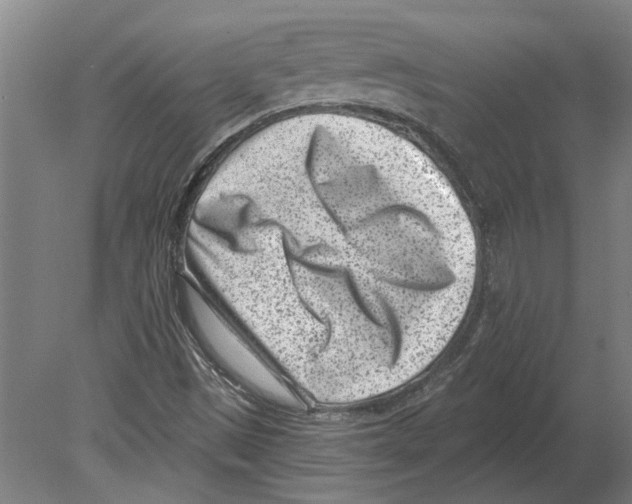 X0000080201497200701051735