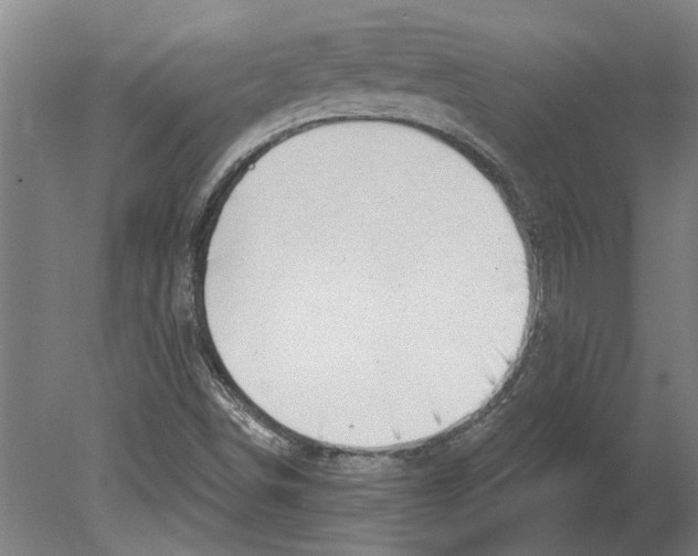 X0000080201498200701051735