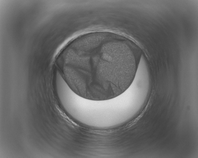 X0000080201502200701051735