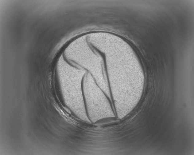 X0000080201503200701051735