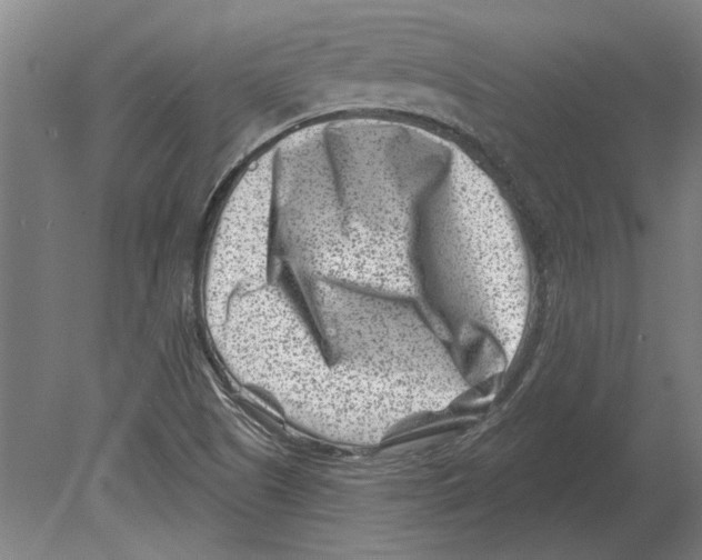 X0000080201505200701051735