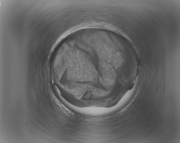 X0000080201506200701051735