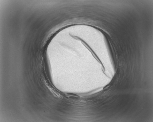 X0000080201507200701051735