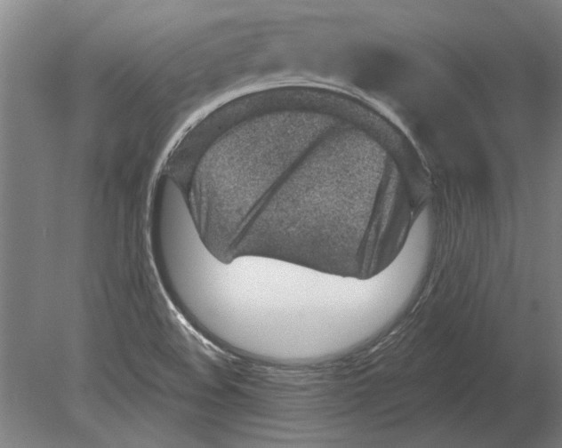 X0000080201508200701051735