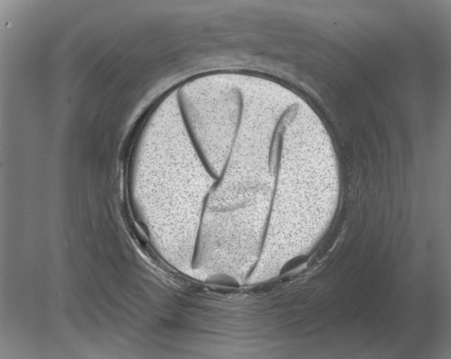 X0000080201509200701051735