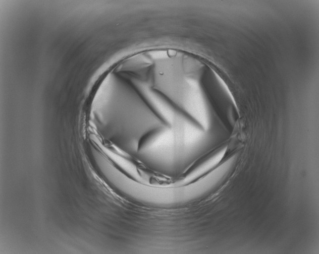 X0000080201510200701051735