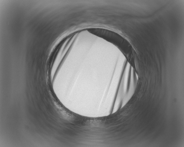 X0000080201511200701051735