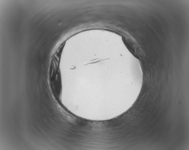 X0000080201512200701051735