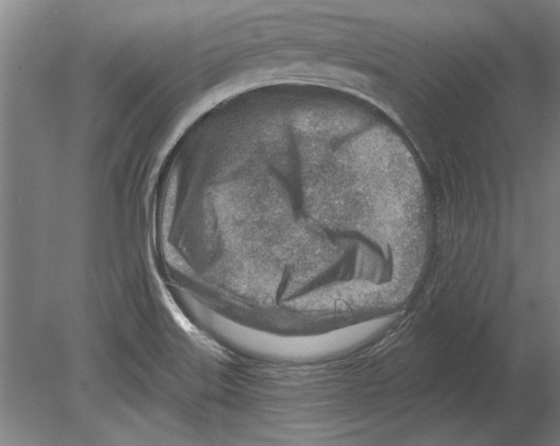 X0000080201515200701051735