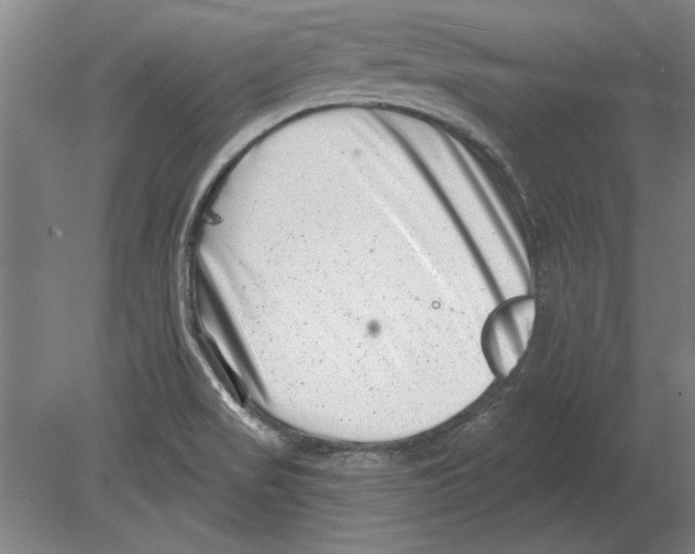 X0000080201517200701051735