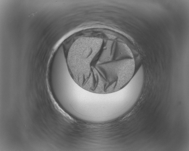 X0000080201518200701051735