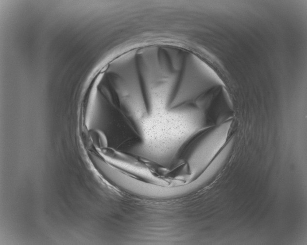 X0000080201520200701051735