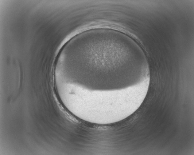 X0000080201522200701051735