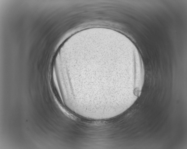 X0000080201523200701051735