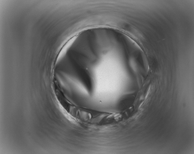 X0000080201524200701051735