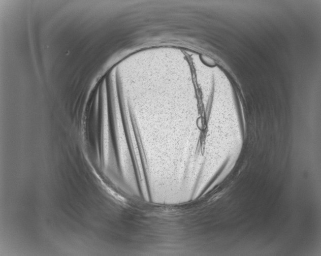 X0000080201525200701051735